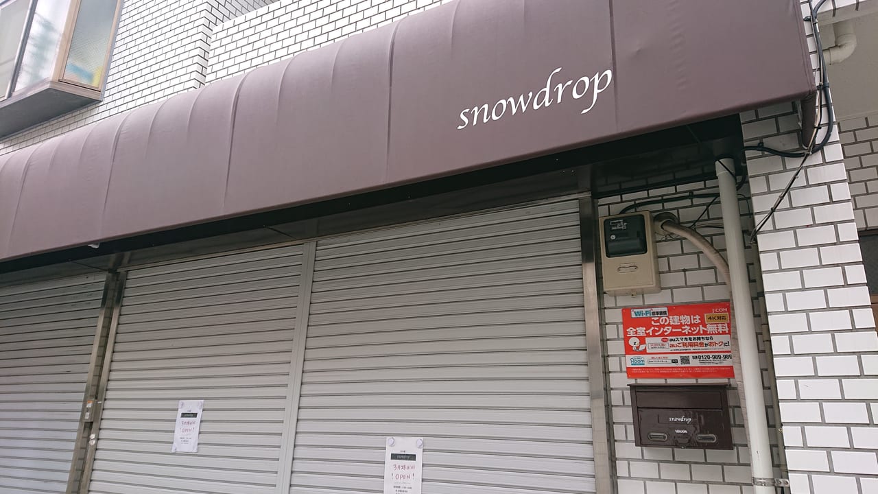 snowdrop