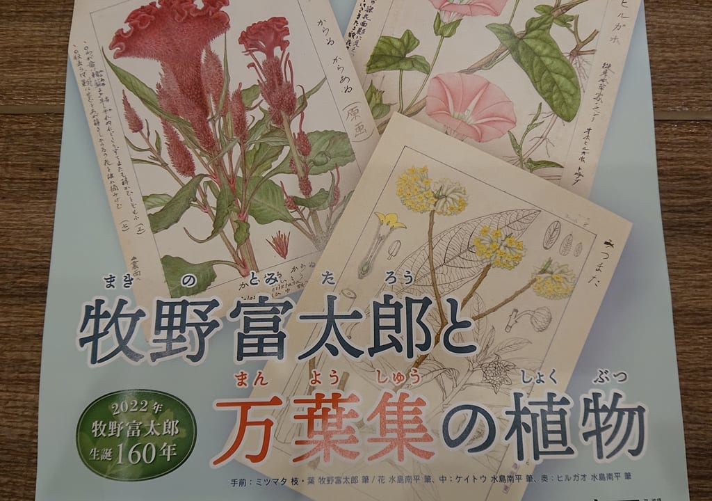 牧野記念庭園