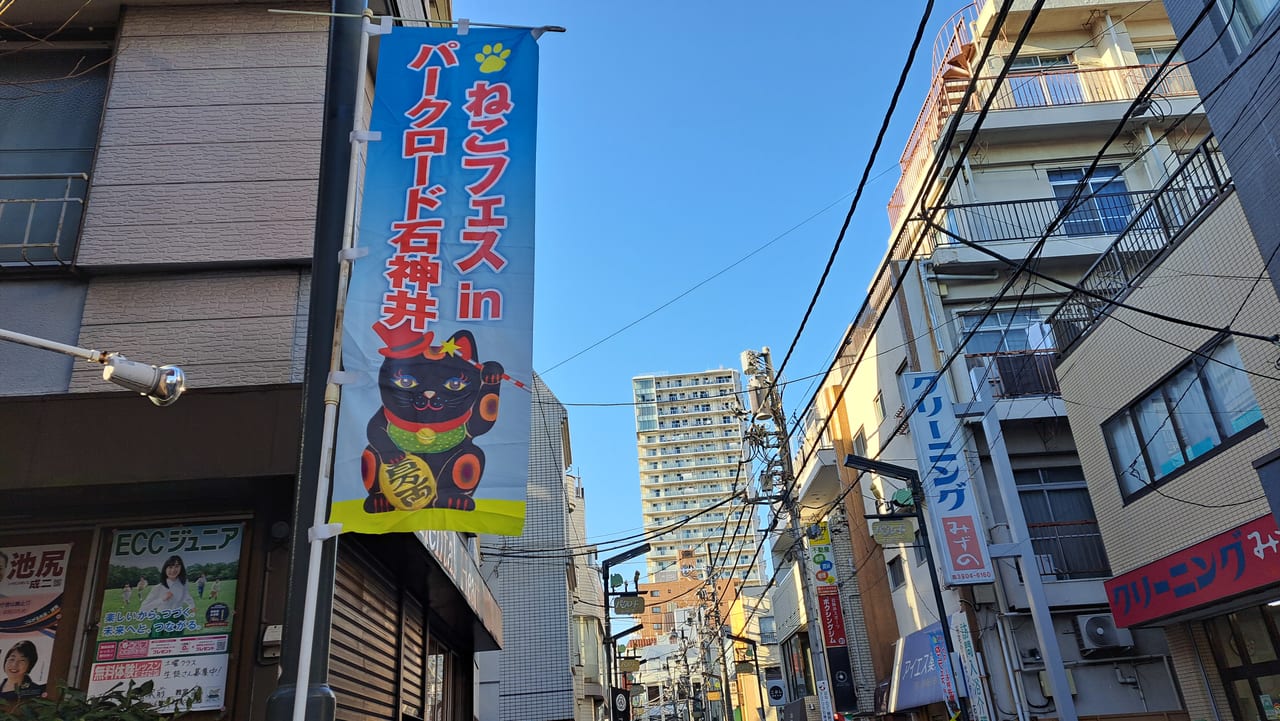 ねこフェス