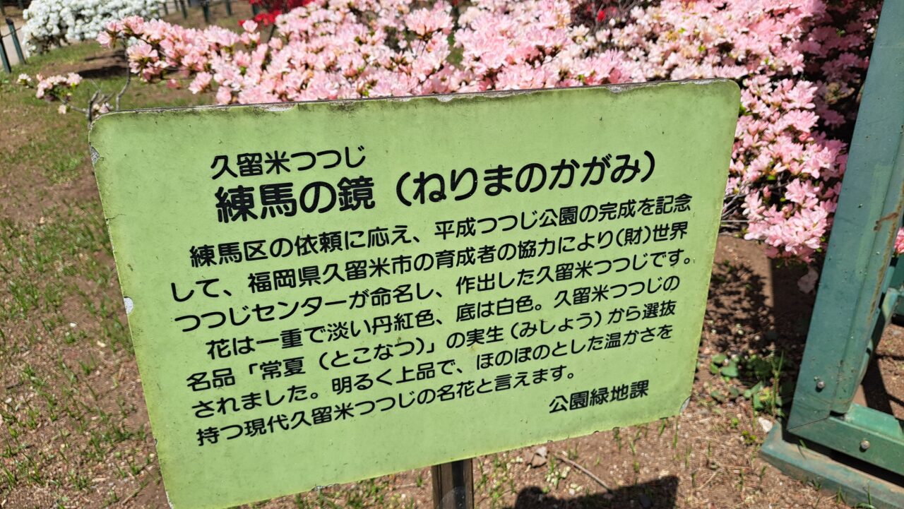 平成つつじ