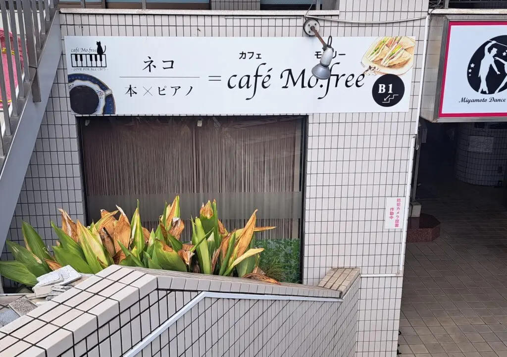 モフリー