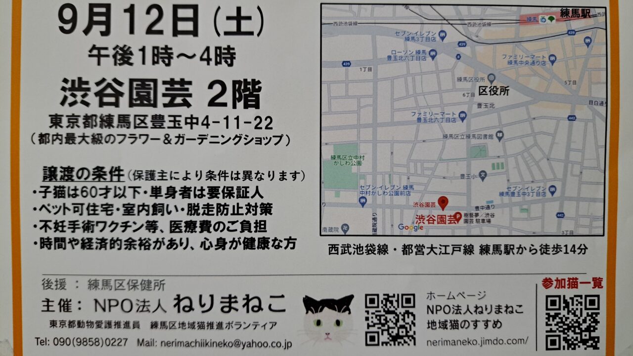 猫の譲渡会