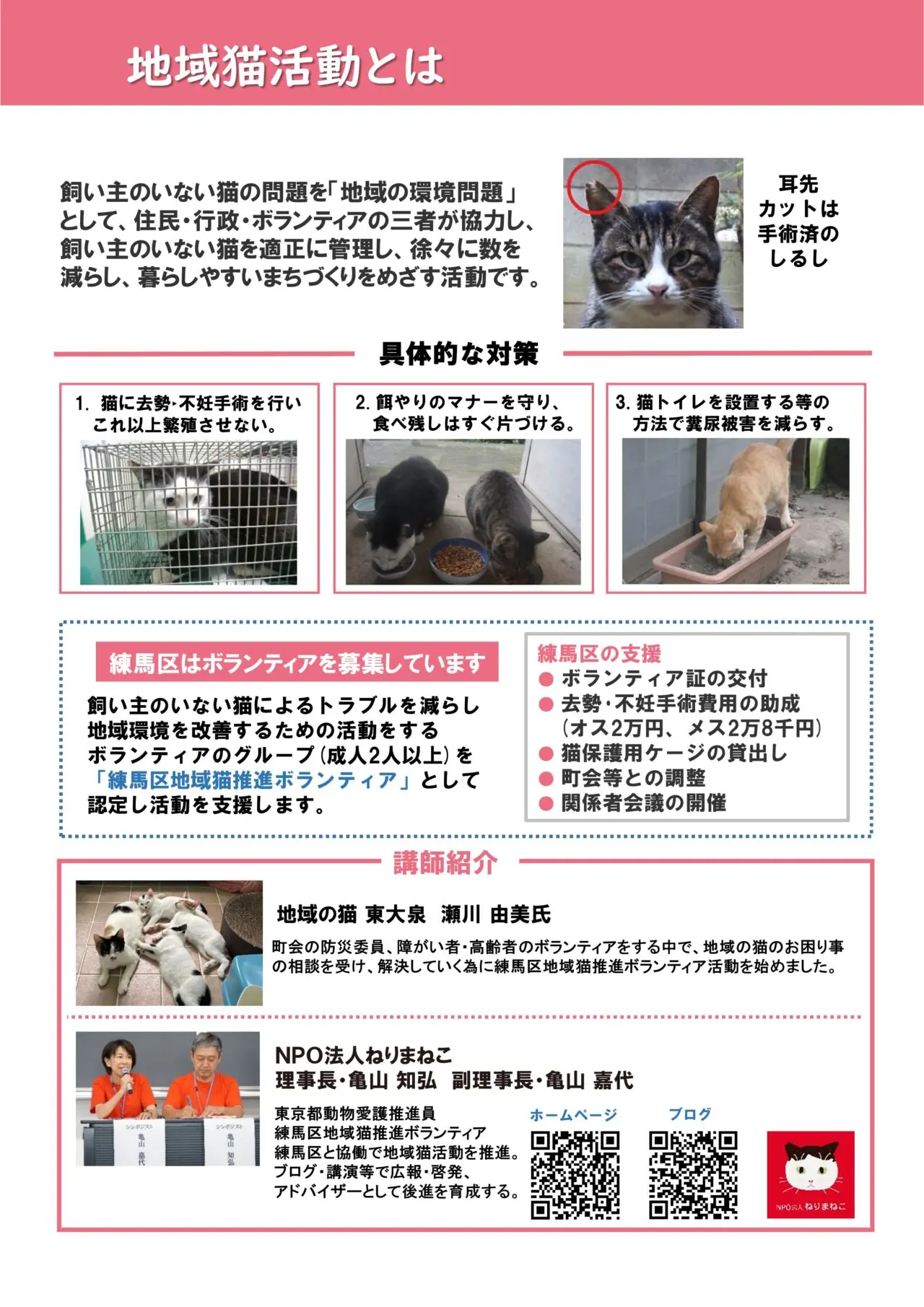 猫問題