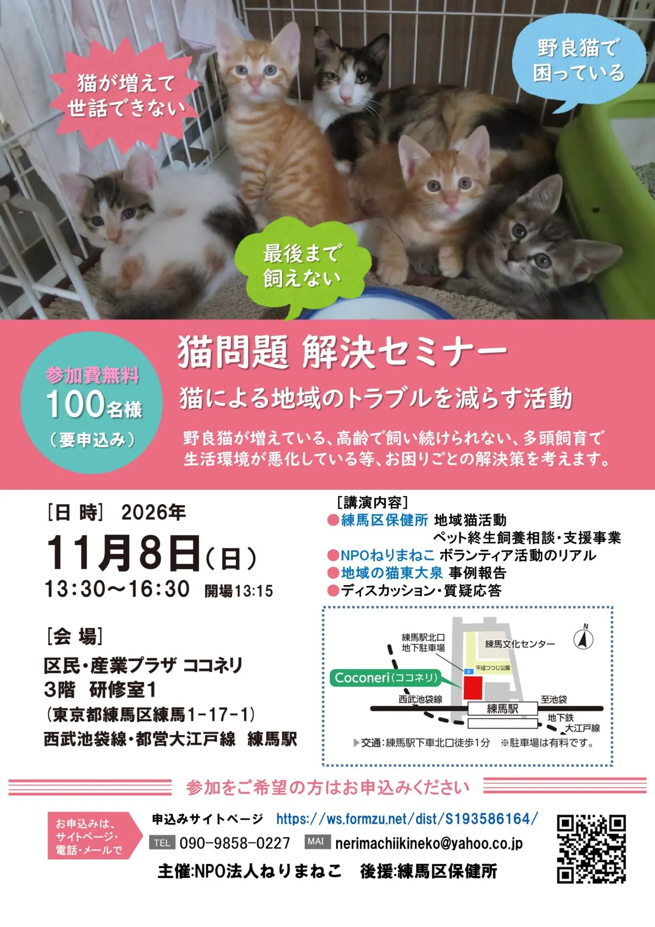 猫問題